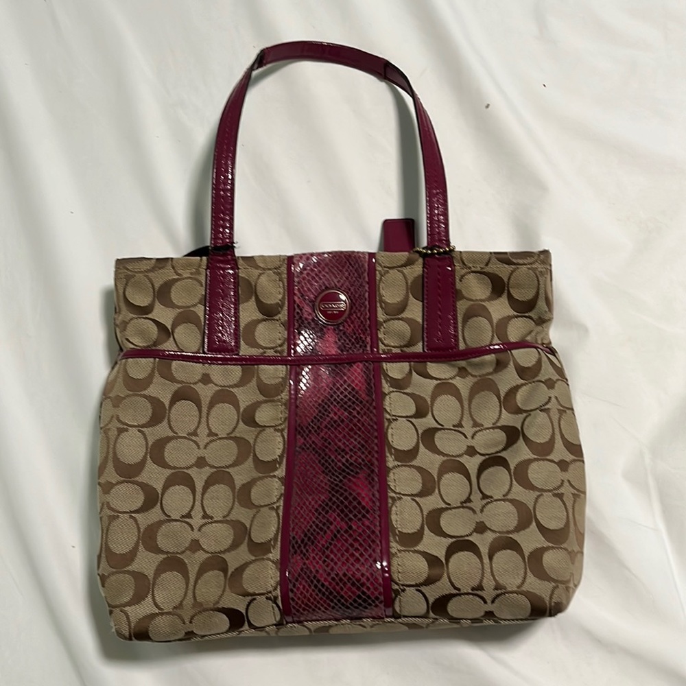 Coach bag | Coach signature python stripe in raspberry